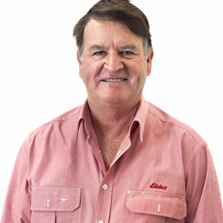 Team Members Elders Real Estate Western Australia